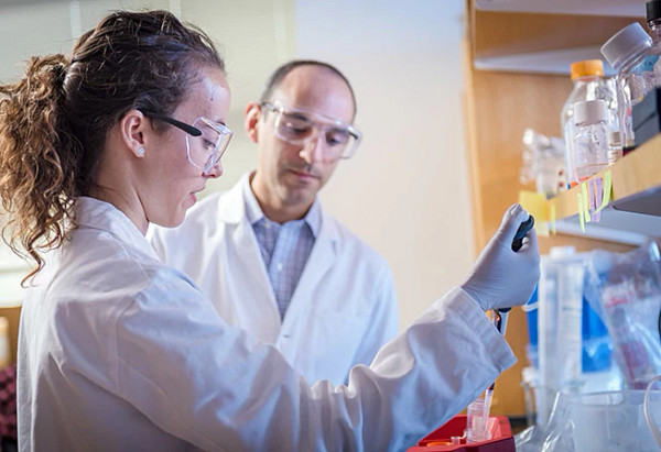 researchers-in-lab653x447.jpg